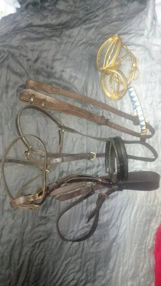 Lote arreos caballo