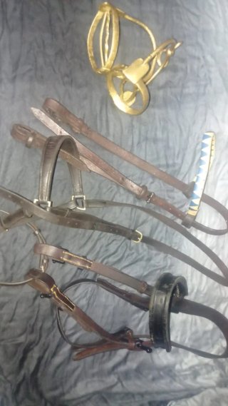 Lote arreos caballo