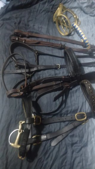 Lote arreos caballo