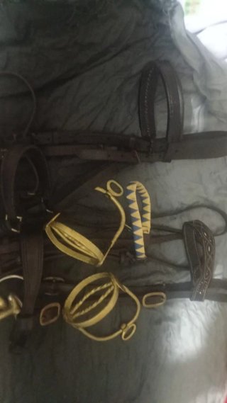 Lote arreos caballo