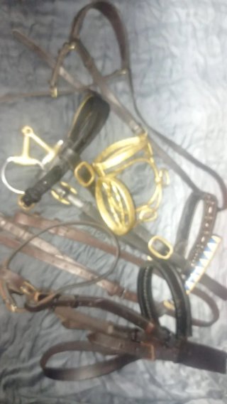 Lote arreos caballo