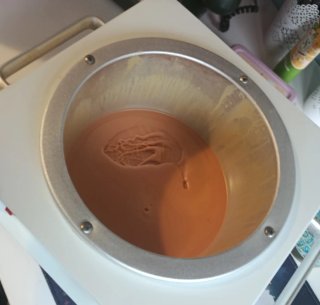 Calentador de Cera Profesional (Wax Warmer)