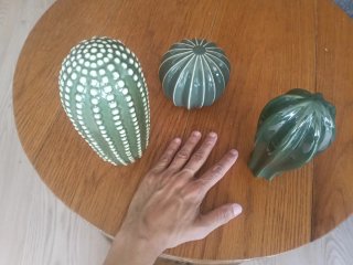 Cactus de cerámica SJÄLSLIGT IKEA