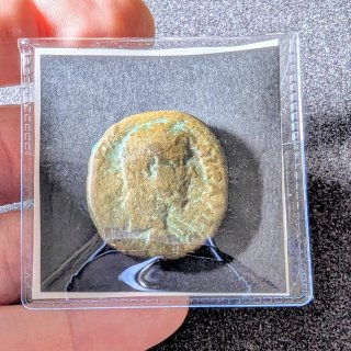 Moneda provincial Antonino Pío (Tomis) AE29