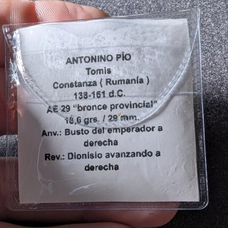 Moneda provincial Antonino Pío (Tomis) AE29