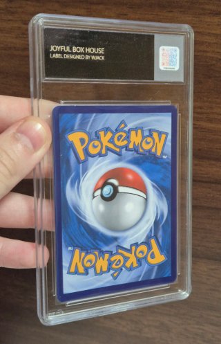 Pack 2 Slabs Pokémon Raticate AR y Dudunsparce AR
