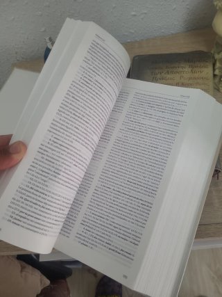 Comentario biblico Bruce antiguo y nuevo testament