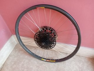 rueda reforzada Mavic 26 x30 QR10,36 radio trasera