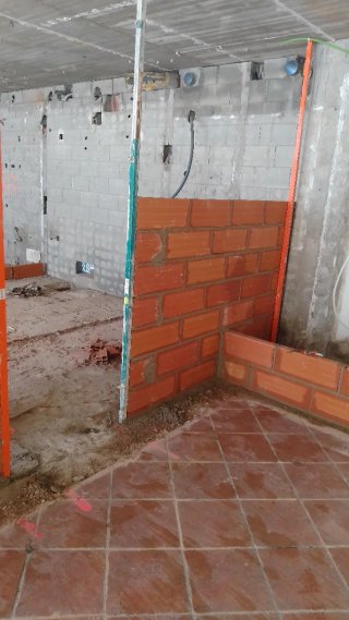 Paleta autonomo
