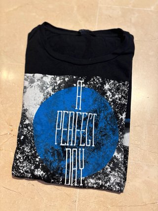 Camiseta Negra A Perfect Day