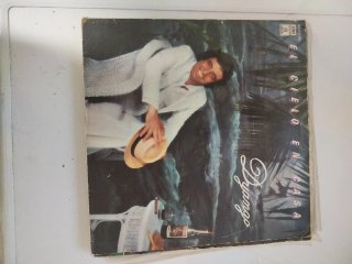 Vinilo El Cielo En Casa Dyango