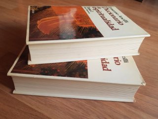 Diccionario de espiritualidad.  Ancilli. Biblia