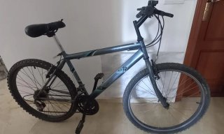 Bicicleta de Montaña Gris