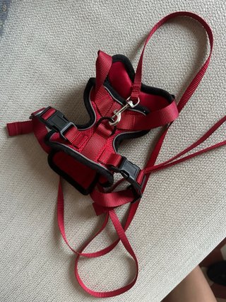 Arnés y correa para perro/gato rojo