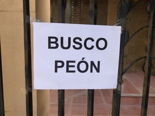 Busco peón