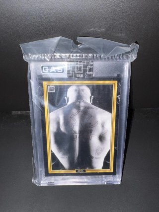 Set Oficial 2Pac x GAS Trading Cards (7)