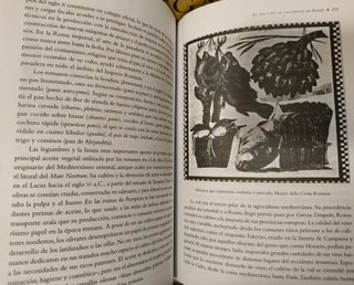 Historia de Roma Día a Día en la Roma Antigua