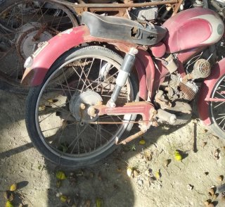 Derbi Paleta Cabeza de Hormiga Roja