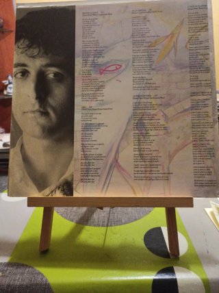 Vinilo El Último De La Fila