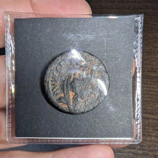 Moneda provincial Tiberio Antioquía AE25
