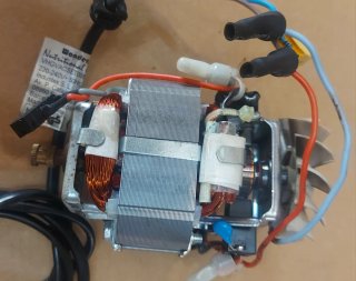 Motor 220V 200W Doble Eje