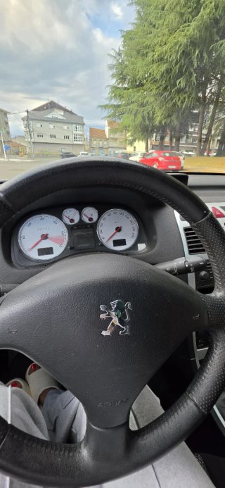 Peugeot 307 2007