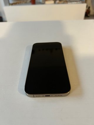 iPhone 14 Pro Max Titanio Arena