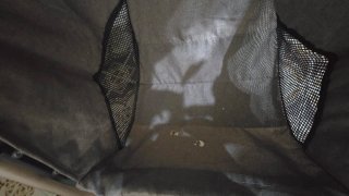 Carrito de bebé y silla de coche