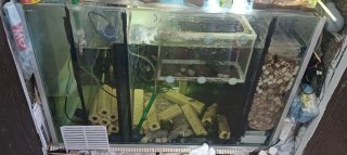 Acuario pecera completo