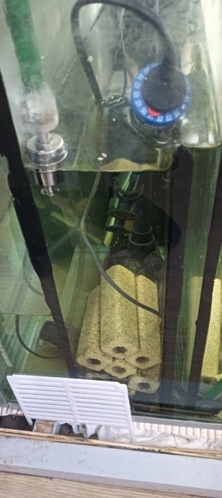 Acuario pecera completo