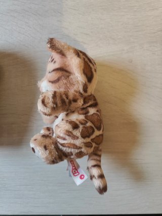 Peluche gatito durmiendo en funda verde