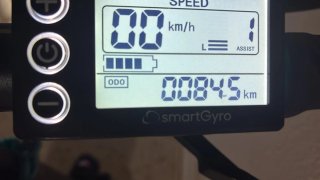 Smartgyro Patinete Eléctrico