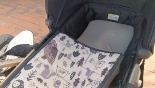 Carro completo: capazo, silla y grupo 0