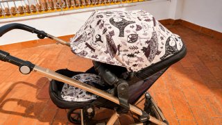 Carro completo: capazo, silla y grupo 0