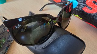 Gafas de sol Ray-Ban RB4126 CATS Negro