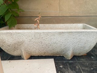 JARDINERA