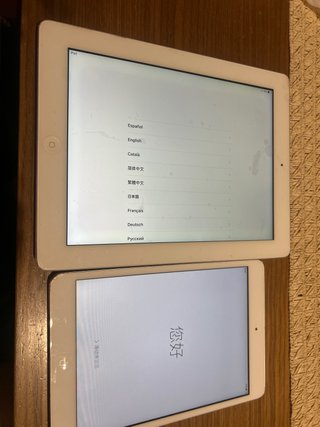 Apple iPad Blanco y ipad mini