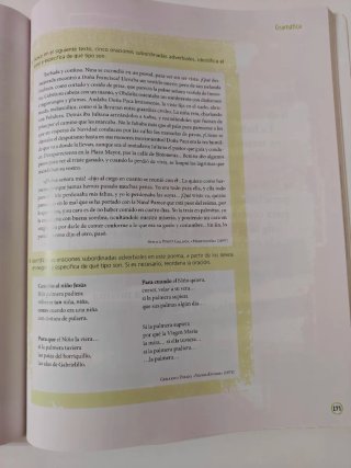 Término, Lengua, Bachillerato