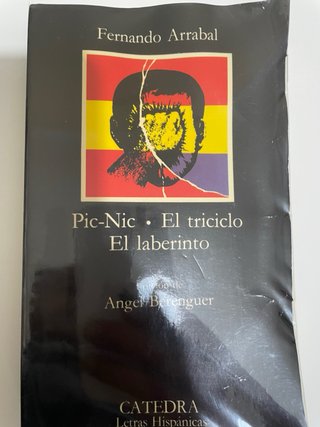 LOTE 7 LIBROS CLÁSICOS DE LITERATURA ESPAÑOLA – CÁ