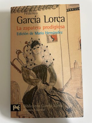LOTE 7 LIBROS CLÁSICOS DE LITERATURA ESPAÑOLA – CÁ