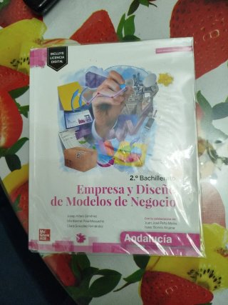 Empresa y diseño de modelos de negocio 2º Bachi...