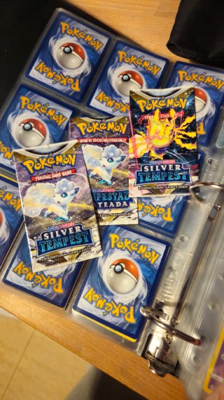 Álbum de Cartas Pokémon