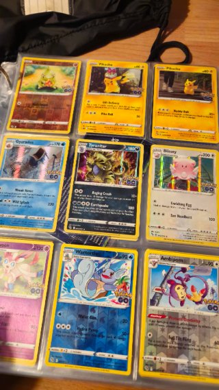 Álbum de Cartas Pokémon