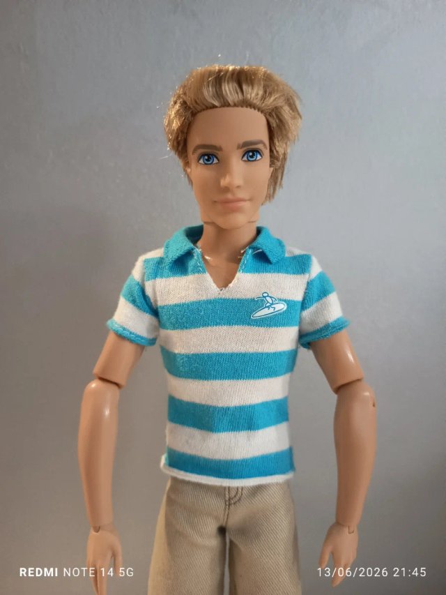 Ken dreamhouse 2009