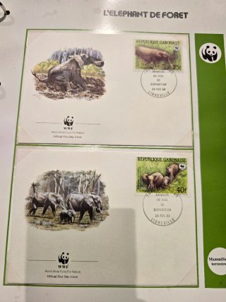 2 Álbumes Sellos WWF Panda