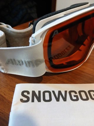 Occhiali da sci Alpina Nakiska DH
