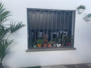 Verja de hierro para ventana