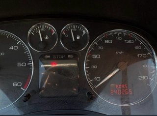 Peugeot 307 2007