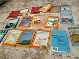 Lote Libros Juveniles