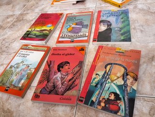 Lote Libros Juveniles